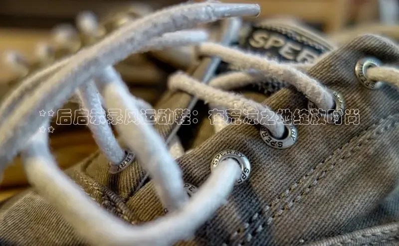 米兰官方网站直接进入百度营销中心**后启示录风运动鞋：在荒凉之地绽放时尚
**