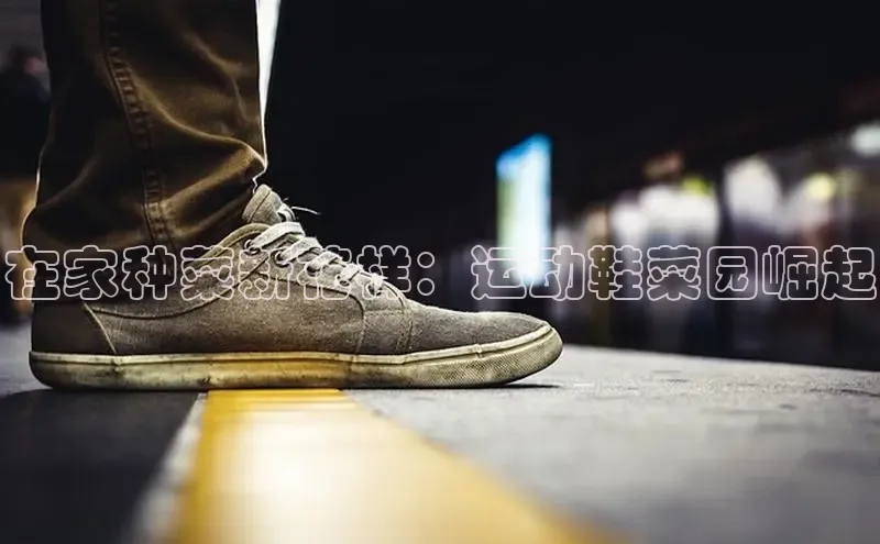 在家种菜新花样：运动鞋菜园崛起