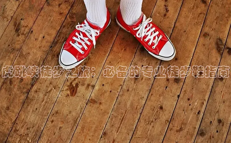 米兰官网首页登录入口百度网盘虎跳峡徒步之旅：必备的专业徒步鞋指南