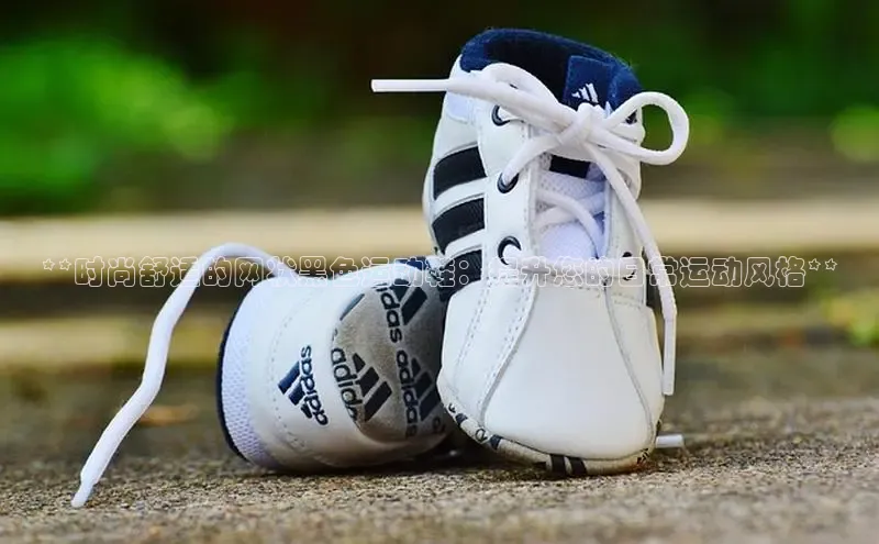 米兰app官网下载安装百度 H5**时尚舒适的网状黑色运动鞋：提升您的日常运动风格**