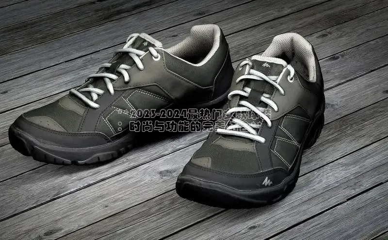 米兰体育下载地址百度网盘企业版**2023-2024最热门女款球鞋
：时尚与功能的完美结合**