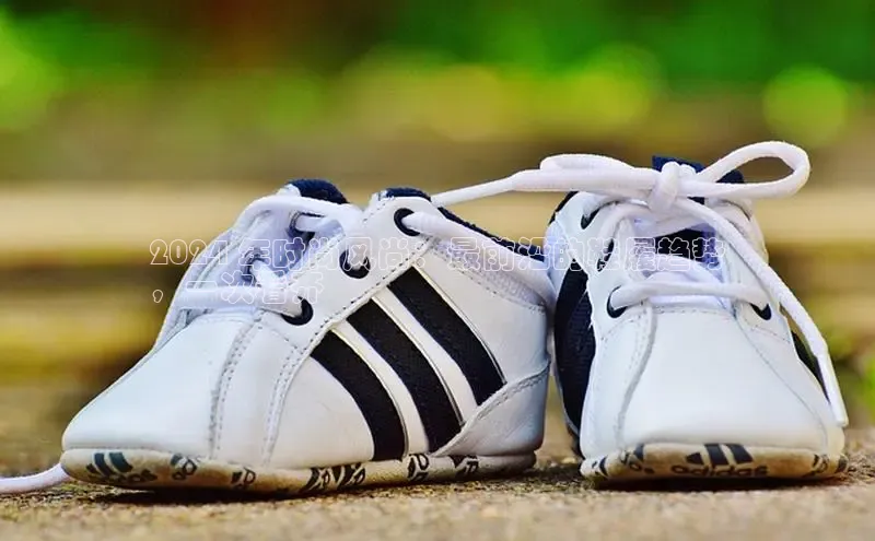 米兰app官方正版官网百度安全社区2024 年时尚风尚：最前沿的鞋履趋势
，一次看齐