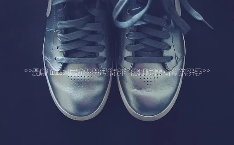 米兰体育彩票是正规的吗百度学术**最新 Nike 运动鞋鞋码指南：找到完美合脚的鞋子**