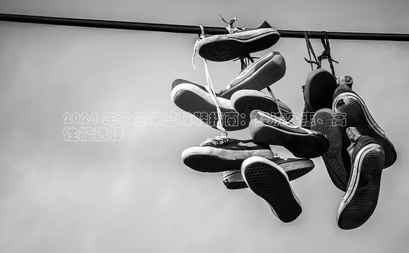 米兰体育彩票是正规的吗百度学术2024 年学生党篮球鞋指南：经济实惠、高
性能选择