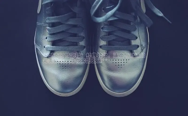 米兰在线网页版官方入口雷柏科技**耐克阿甘跑鞋：经典鞋款，速度与舒适的
完美结合，助你奔跑更远**