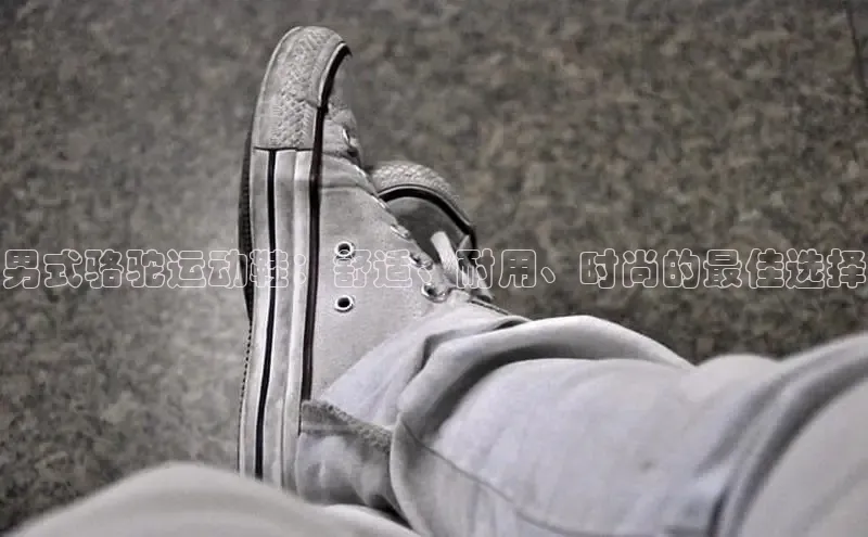 米兰·全站APP登录入口百度众测男式骆驼运动鞋：舒适、耐用、时尚的最佳选择
