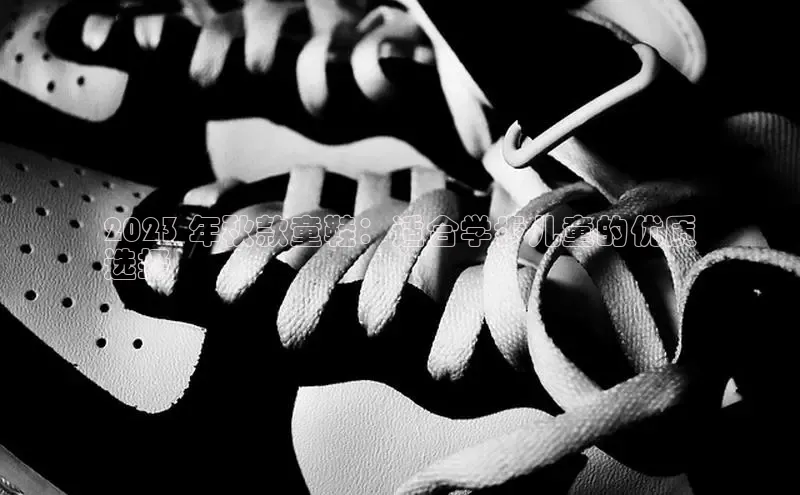 米兰官网首页登录入口百度网盘2023 年秋款童鞋：适合学步儿童的优质
选择