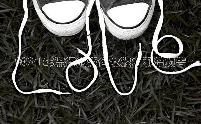 米兰·全站APP登录入口百度众测2024 年流行的紫色女鞋：潮流预告