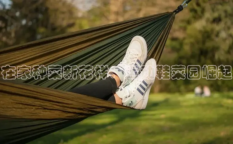 米兰网页版在线登录极氪智能科技在家种菜新花样：运动鞋菜园崛起