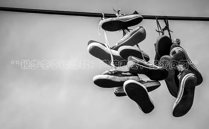 米兰app官方正版官网巴美列捷福**锐步冬季运动鞋：迎接寒冬，踏步向前**