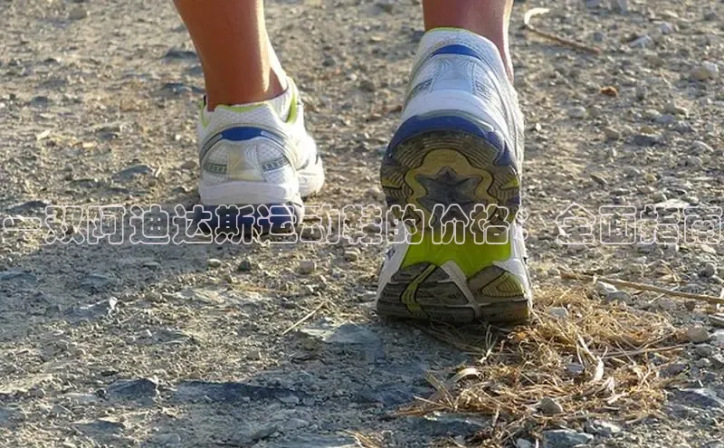 米兰app官网登录百度翻译App一双阿迪达斯运动鞋的价格：全面指南