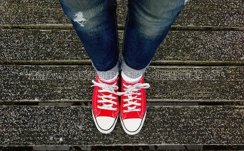 米兰官网首页登录入口百度Apollo**最潮Puma夏季运动鞋：时尚与功能的完美结合**