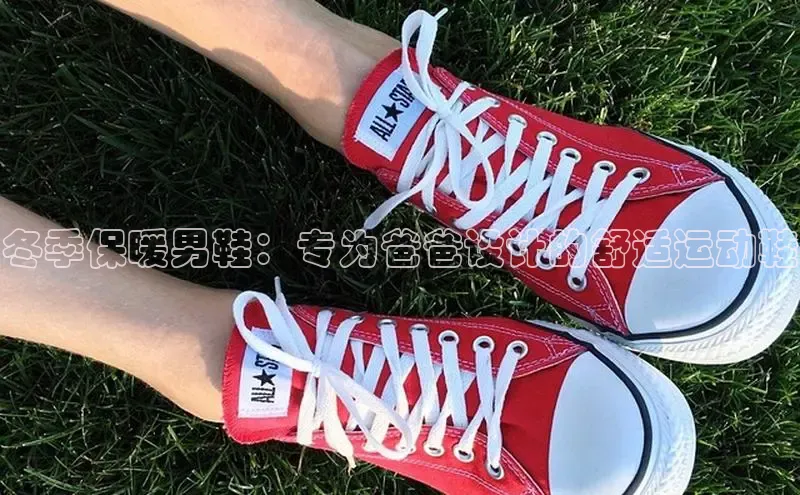米兰官网首页登录入口百度网盘冬季保暖男鞋：专为爸爸设计的舒适运动鞋