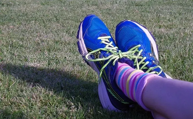 米兰app官方入口下载中文在线2024 年李宁男士休闲鞋新款：舒适时尚，引
领潮流