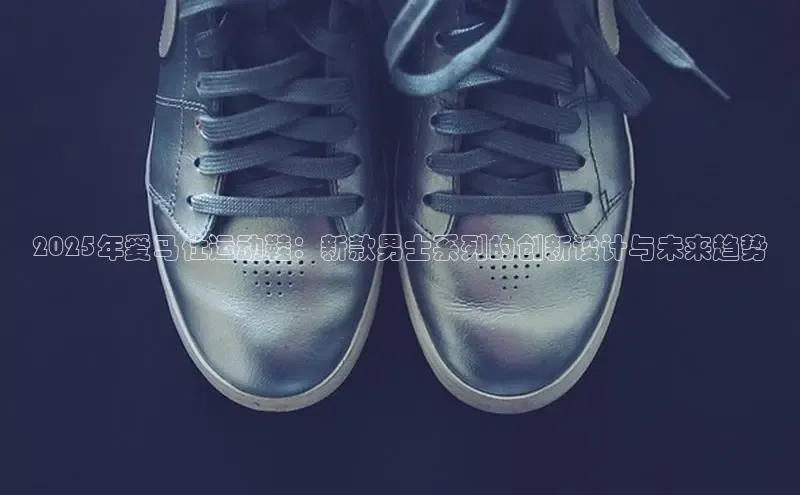 2025年爱马仕运动鞋：新款男士系列的创新设计与未来趋势