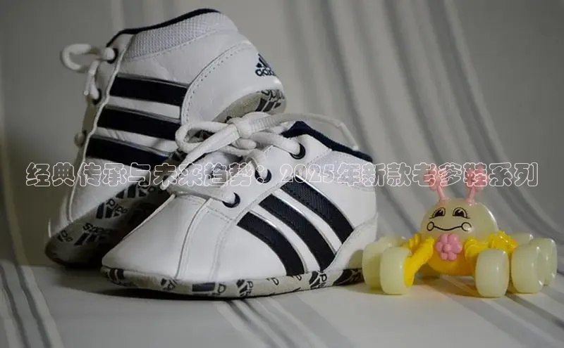 经典传承与未来趋势：2025年新款老爹鞋系列