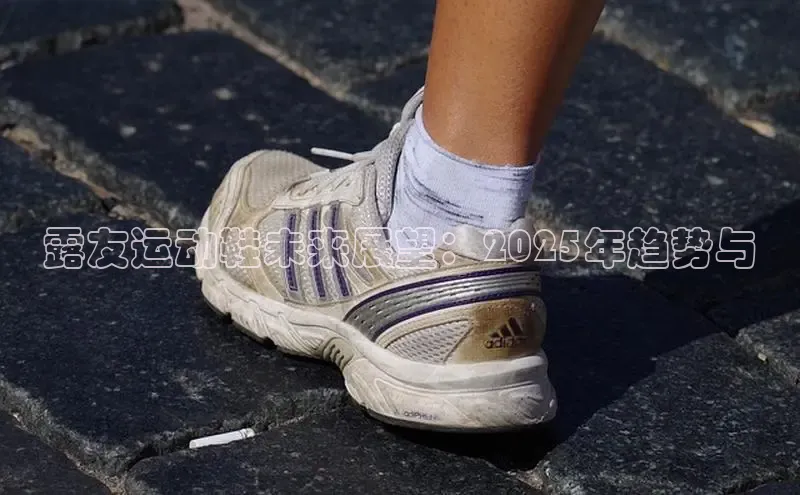 露友运动鞋未来展望：2025年趋势与