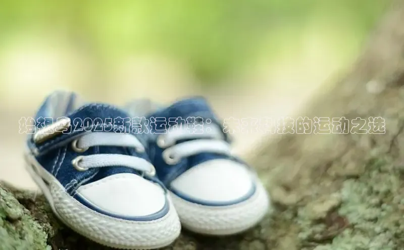 米兰体育全站app官网